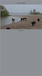 Mobile Screenshot of dutchlabs-labradors.nl