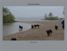 Tablet Screenshot of dutchlabs-labradors.nl